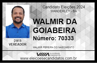 Candidato WALMIR DA GOIABEIRA 2024 - WANDERLEY - Eleições