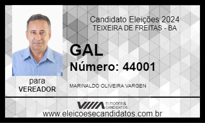 Candidato GAL 2024 - TEIXEIRA DE FREITAS - Eleições