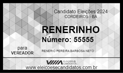 Candidato RENERINHO 2024 - CORDEIROS - Eleições