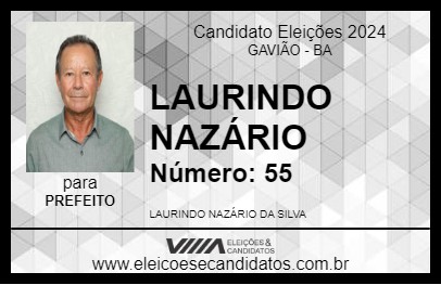 Candidato LAURINDO NAZÁRIO 2024 - GAVIÃO - Eleições