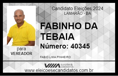 Candidato FABINHO DA TEBAIA 2024 - LAMARÃO - Eleições