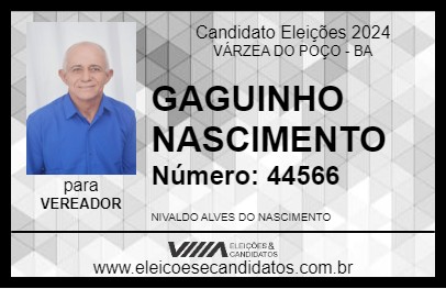 Candidato GAGUINHO NASCIMENTO 2024 - VÁRZEA DO POÇO - Eleições