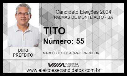 Candidato TITO 2024 - PALMAS DE MONTE ALTO - Eleições