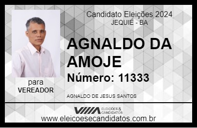 Candidato AGNALDO DA AMOJE 2024 - JEQUIÉ - Eleições