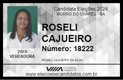 Candidato ROSELI CAJUEIRO 2024 - MORRO DO CHAPÉU - Eleições