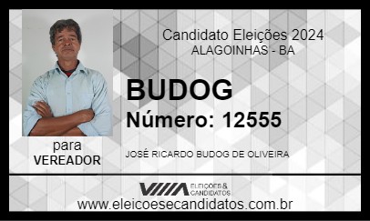 Candidato BUDOG 2024 - ALAGOINHAS - Eleições