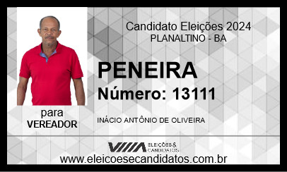 Candidato PENEIRA 2024 - PLANALTINO - Eleições