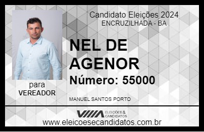 Candidato NEL DE AGENOR 2024 - ENCRUZILHADA - Eleições