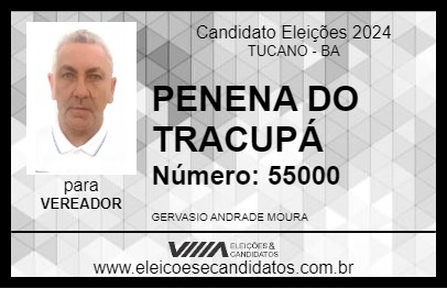 Candidato PENENA DO TRACUPÁ 2024 - TUCANO - Eleições