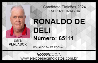 Candidato RONALDO DE DELI 2024 - ENCRUZILHADA - Eleições