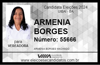 Candidato ARMENIA BORGES 2024 - UIBAÍ - Eleições