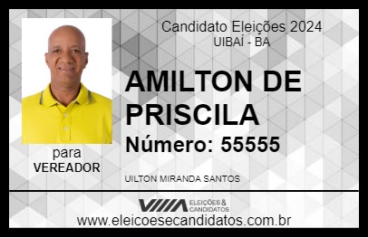 Candidato AMILTON DE PRISCILA 2024 - UIBAÍ - Eleições