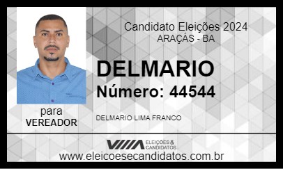 Candidato DELMARIO 2024 - ARAÇÁS - Eleições