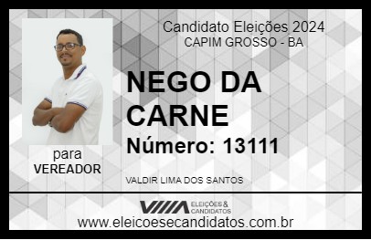 Candidato NEGO DA CARNE 2024 - CAPIM GROSSO - Eleições