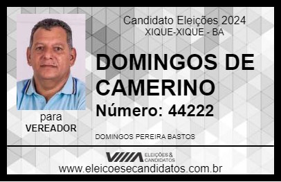 Candidato DOMINGOS DE CAMERINO 2024 - XIQUE-XIQUE - Eleições