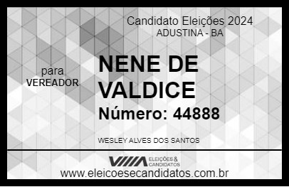 Candidato NENE DE VALDICE 2024 - ADUSTINA - Eleições