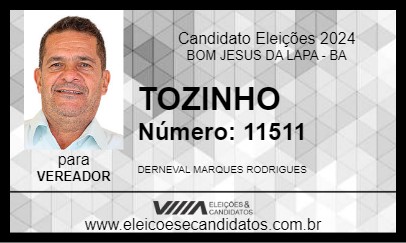 Candidato TOZINHO 2024 - BOM JESUS DA LAPA - Eleições