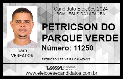 Candidato PETRICSON DO PARQUE VERDE 2024 - BOM JESUS DA LAPA - Eleições