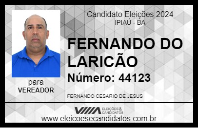 Candidato FERNANDO DO LARICÃO 2024 - IPIAÚ - Eleições