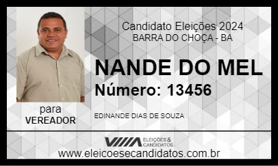 Candidato NANDE DO MEL 2024 - BARRA DO CHOÇA - Eleições