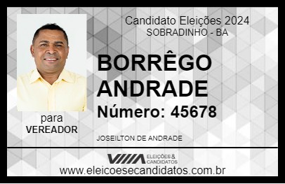 Candidato BORRÊGO ANDRADE 2024 - SOBRADINHO - Eleições