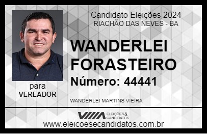 Candidato WANDERLEI FORASTEIRO 2024 - RIACHÃO DAS NEVES - Eleições