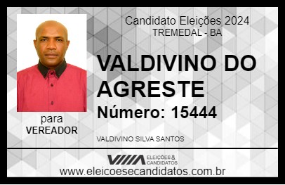 Candidato VALDIVINO DO AGRESTE 2024 - TREMEDAL - Eleições