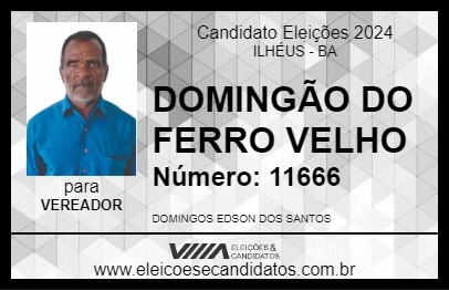 Candidato DOMINGÃO DO FERRO VELHO 2024 - ILHÉUS - Eleições