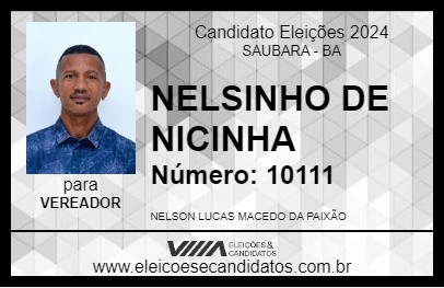 Candidato NELSINHO DE NICINHA 2024 - SAUBARA - Eleições