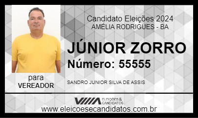 Candidato JÚNIOR ZORRO 2024 - AMÉLIA RODRIGUES - Eleições