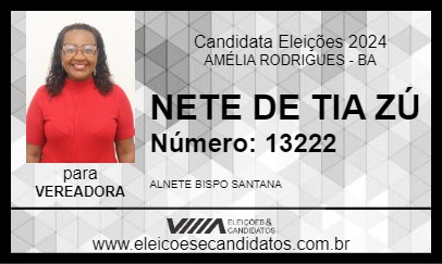 Candidato NETE DE TIA ZÚ 2024 - AMÉLIA RODRIGUES - Eleições