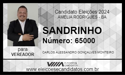 Candidato SANDRINHO 2024 - AMÉLIA RODRIGUES - Eleições