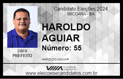 Candidato HAROLDO AGUIAR 2024 - IBICOARA - Eleições