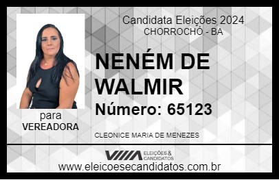 Candidato NENÉM DE WALMIR 2024 - CHORROCHÓ - Eleições