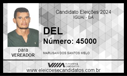 Candidato DEL 2024 - IGUAÍ - Eleições