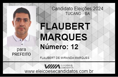 Candidato FLAUBERT MARQUES 2024 - TUCANO - Eleições