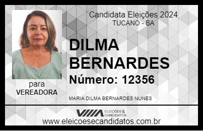 Candidato DILMA BERNARDES 2024 - TUCANO - Eleições