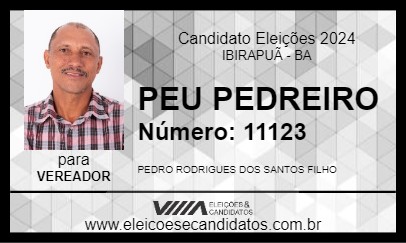 Candidato PEU PEDREIRO 2024 - IBIRAPUÃ - Eleições