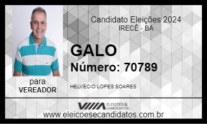 Candidato GALO 2024 - IRECÊ - Eleições