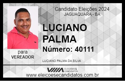 Candidato LUCIANO PALMA 2024 - JAGUAQUARA - Eleições