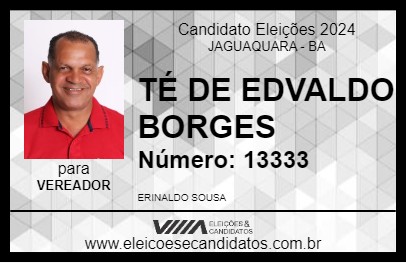 Candidato TÉ DE EDVALDO BORGES 2024 - JAGUAQUARA - Eleições