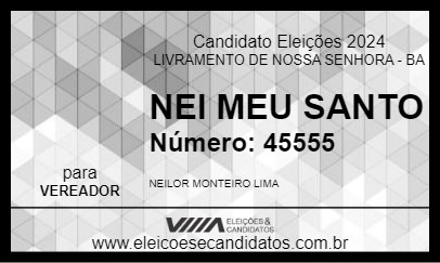 Candidato NEI MEU SANTO 2024 - LIVRAMENTO DE NOSSA SENHORA - Eleições