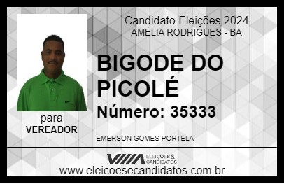 Candidato BIGODE DO PICOLÉ 2024 - AMÉLIA RODRIGUES - Eleições