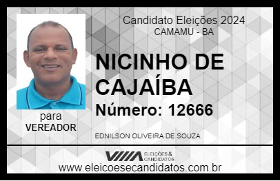 Candidato NICINHO DE CAJAÍBA 2024 - CAMAMU - Eleições