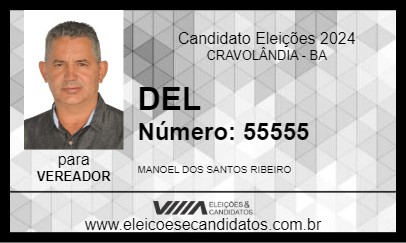 Candidato DEL 2024 - CRAVOLÂNDIA - Eleições