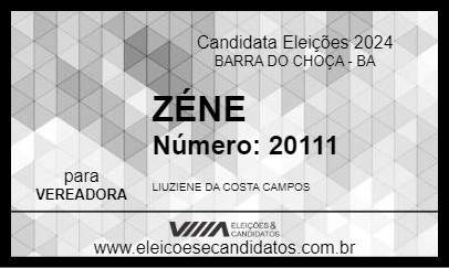 Candidato ZÉNE 2024 - BARRA DO CHOÇA - Eleições