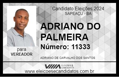 Candidato ADRIANO DO PALMEIRA 2024 - SAPEAÇU - Eleições