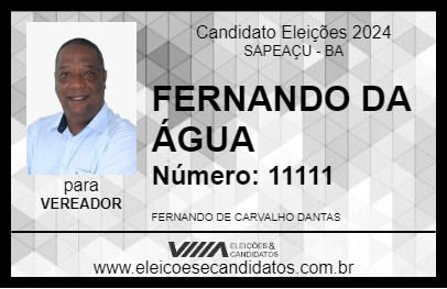 Candidato FERNANDO DA ÁGUA 2024 - SAPEAÇU - Eleições