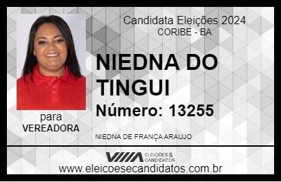 Candidato NIEDNA DO TINGUI 2024 - CORIBE - Eleições