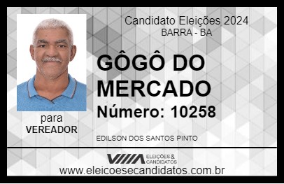 Candidato GÔGÔ DO MERCADO 2024 - BARRA - Eleições